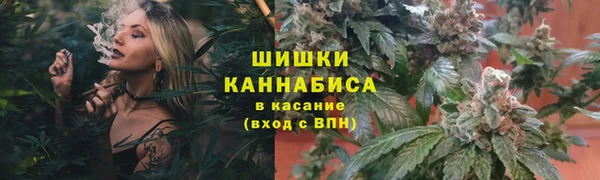гидропоника Осташков