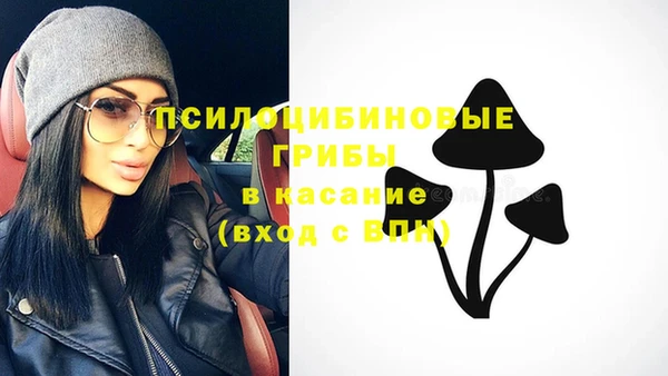 гидропоника Осташков