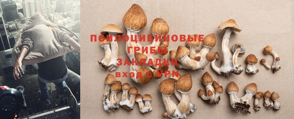 кокаин премиум Осинники
