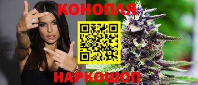 скорость Гатчина