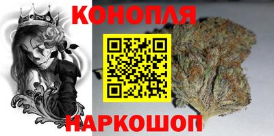 мяу мяу мука Гай