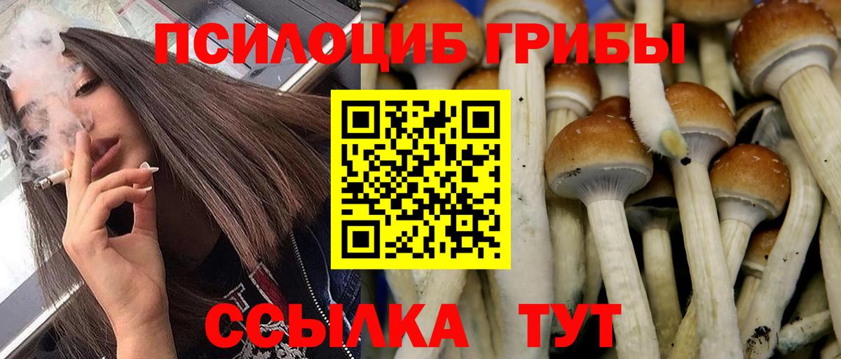 Галлюциногенные грибы MAGIC MUSHROOMS  Ангарск 