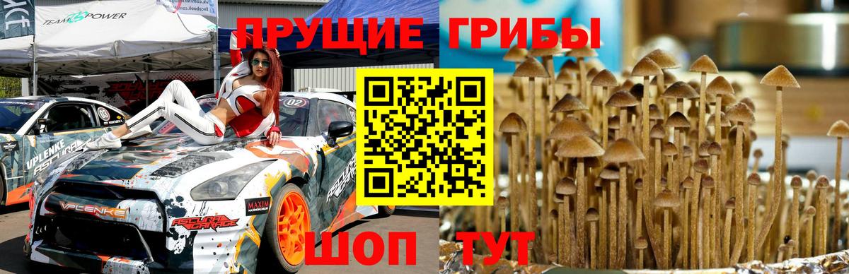 Галлюциногенные грибы GOLDEN TEACHER  Вход с VPN  закладки  Ангарск 
