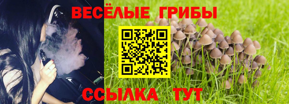 Псилоцибиновые грибы мицелий  Вход с VPN  магазин    Ангарск 