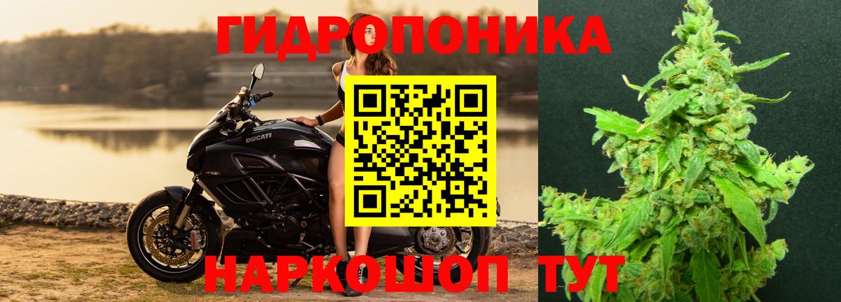 Ангарск  Шишки марихуана THC 21%  Конопля SATIVA & INDICA  Каннабис план  Вход с VPN  Каннабис тримм 
